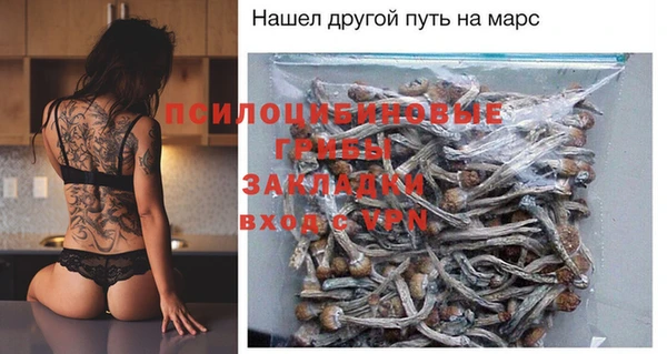 гидропоника Кулебаки