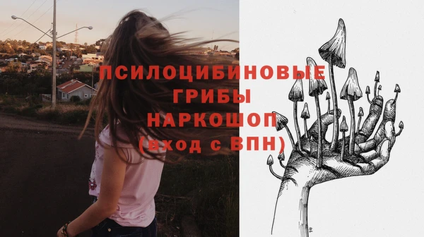 скорость Богданович